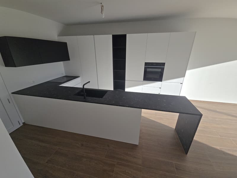 MODERNE E NUOVE VILLETTE DI 5.5 LOCALI CON GIARDINO A MANNO (3)