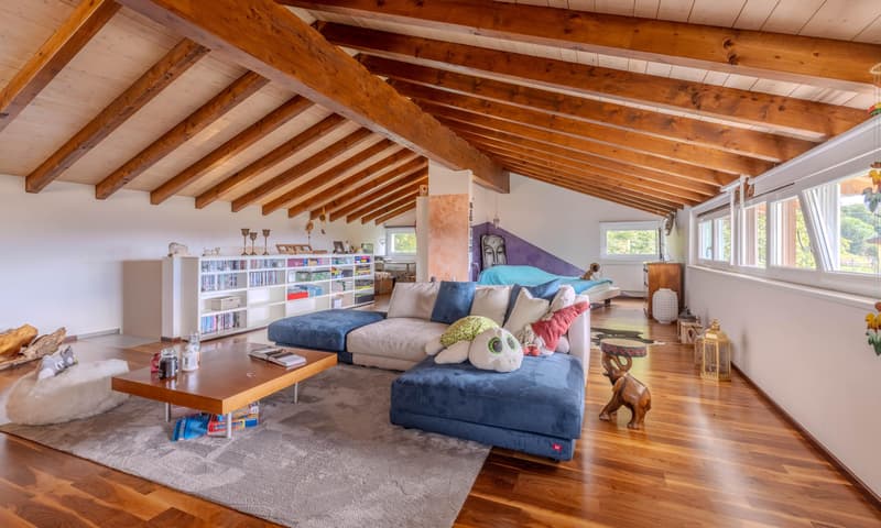 SPAZIOSA CASA DI 6.5 LOCALI CON GIARDINO A MIGLIEGLIA (4)