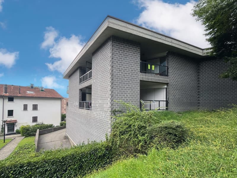 AFFITTASI 1.5 LOCALI IN ZONA COMODA A LUGANO CORNAREDO (6)