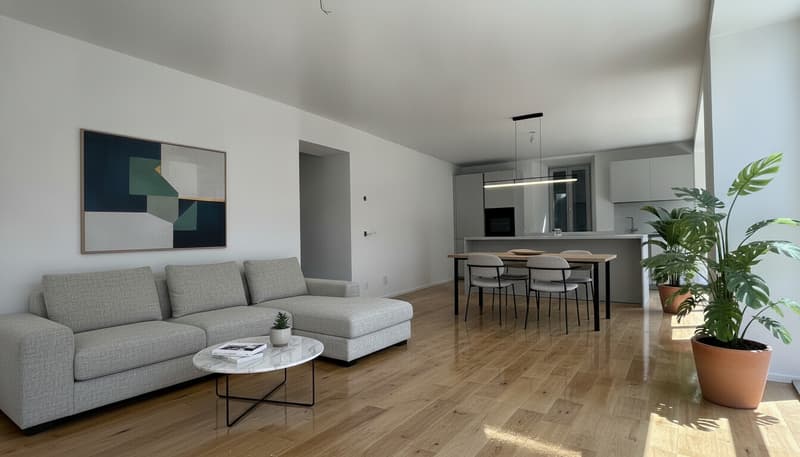 MODERNO ED AMPIO 3.5 LOCALI DI CHARME A MENDRISIO CENTRO (1)