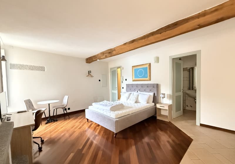 AFFITTASI GRAZIOSI MONOLOCALI IN PALAZZO STORICO A MORCOTE (8)