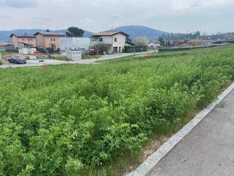 TERRENO DI 600 MQ CON LICENZA PER UNA VILLA A STABIO (4)