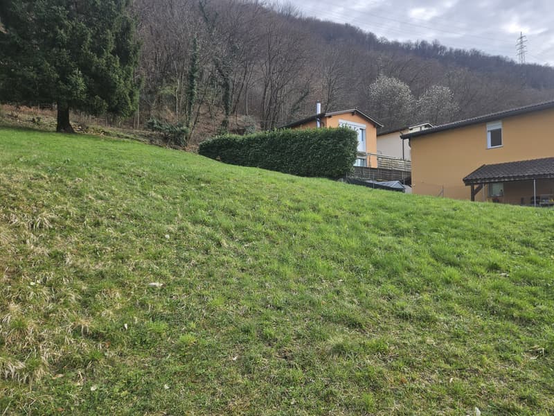 TERRENO EDIFICABILE DI 1000 MQ CON VISTA APERTA A BARBENGO (2)