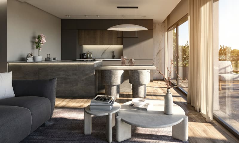 STUPENDO 3.5 CON GIARDINO PRIVATO E TERRAZZE A LUMINO (2)