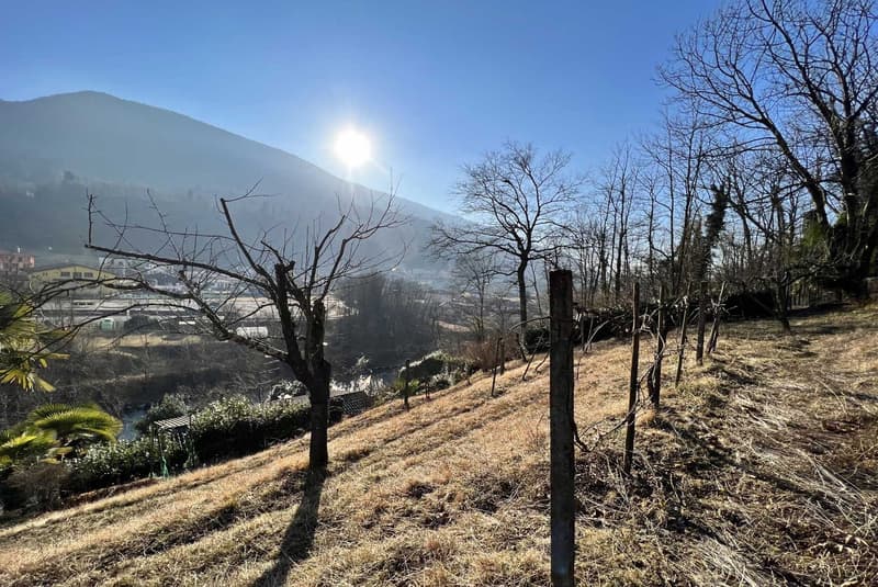 AFFARE - GRANDE TERRENO EDIFICABILE A PONTE CREMENAGA (1)