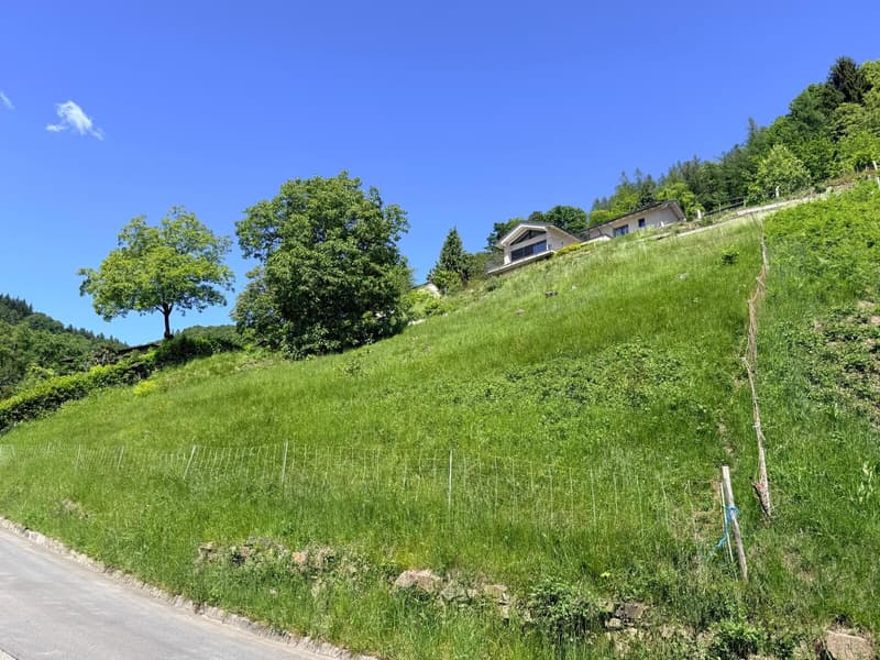 TERRENO EDIFICABILE DI 1237 MQ CON VISTA PANORAMICA - ARANNO (3)