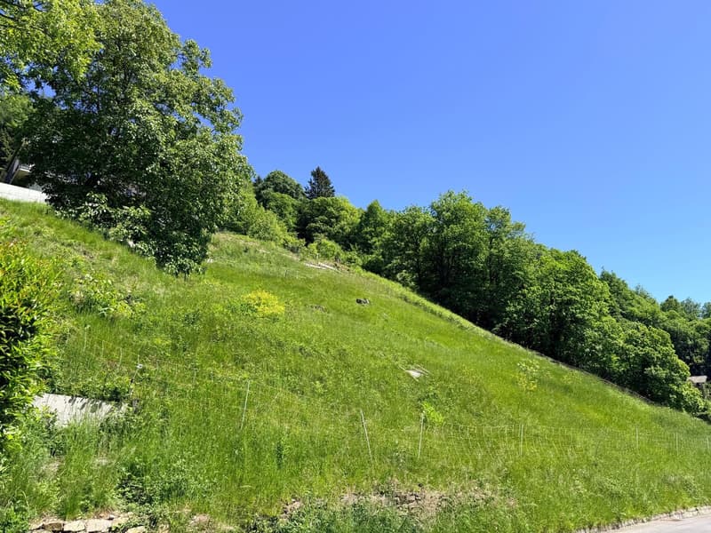 TERRENO EDIFICABILE DI 1237 MQ CON VISTA PANORAMICA - ARANNO (2)