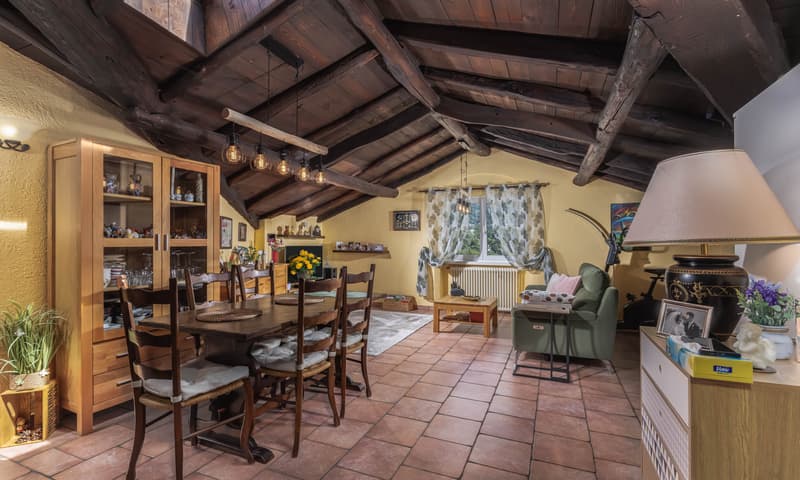 AMPIO 3.5 CON GRANDE TERRAZZA E VISTA APERTA IN CAPRIASCA (3)