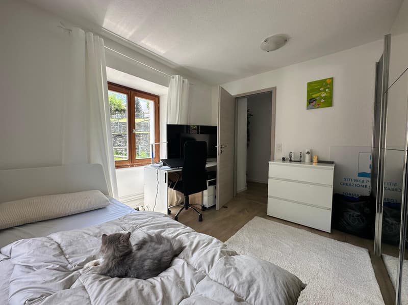 BELLA CASA 4.5 DI CHARME CON GIARDINO E PISCINA A ROVEREDO (6)
