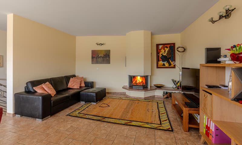 AMPIA VILLA 4.5 LOCALI CON TERRAZZA GIARDINO E VISTA AD AGNO (6)