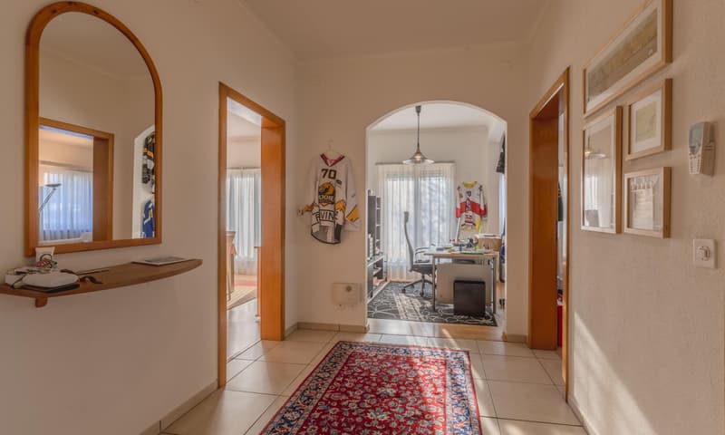 SPAZIOSA VILLA DI 10 LOCALI CON GIARDINO A MORBIO INFERIORE (9)