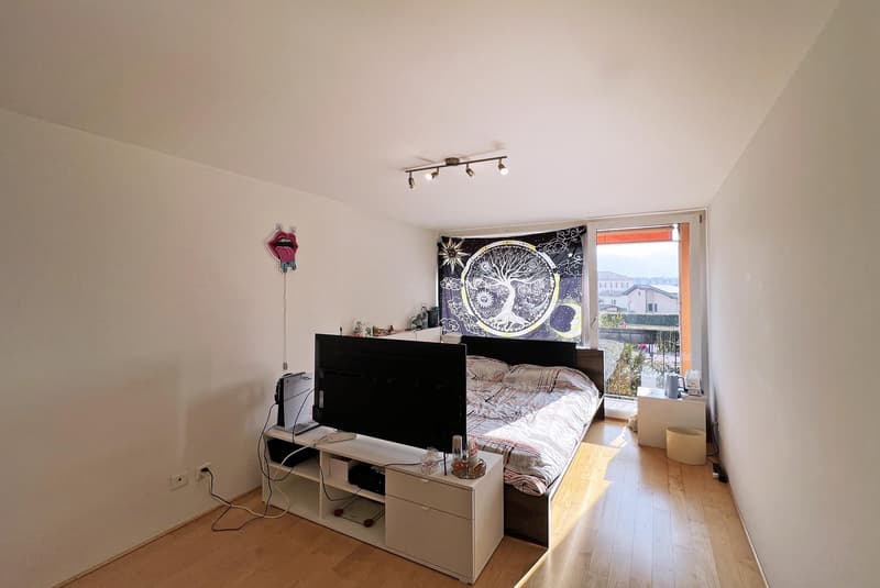 AMPIO DUPLEX 3.5 LOCALI CON GIARDINO PRIVATO AD AGNO (9)