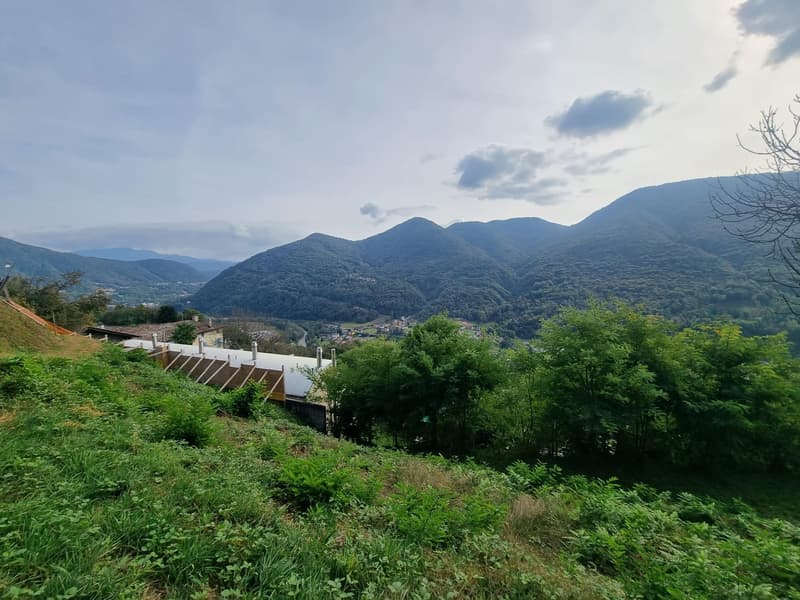 TERRENO EDIFICABILE DI 2567 MQ CON VISTA APERTA A MONTEGGIO (2)