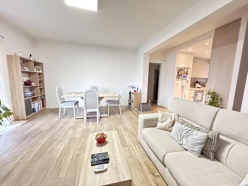 AMPIO 4.5 LOCALI COME NUOVO CON BALCONE A LUGANO BREGANZONA (1)