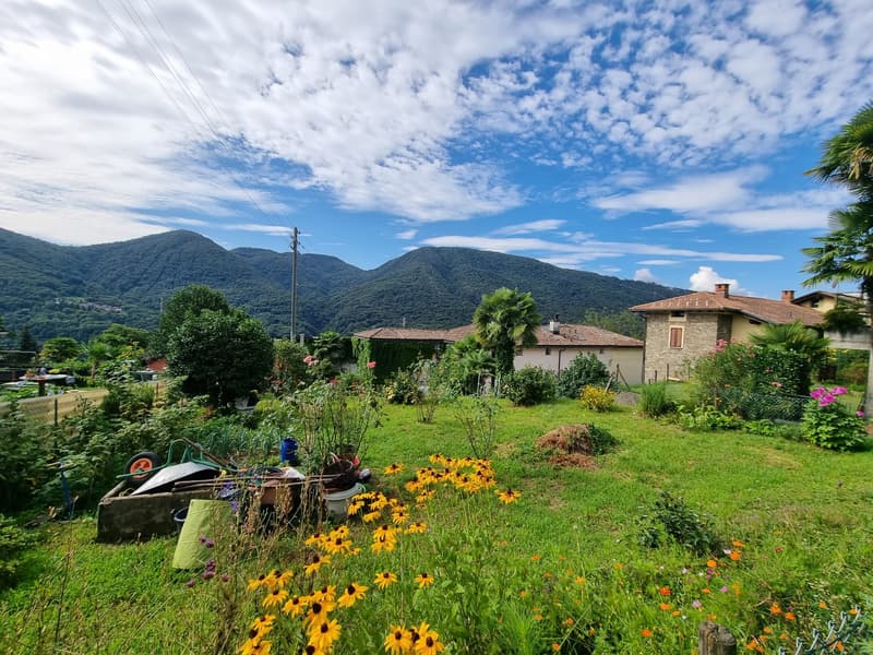 SPLENDIDO TERRENO EDIFICABILE CON PROGETTO A MONTEGGIO (4)