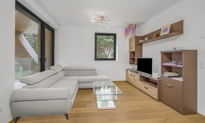 MODERNO 3.5 LOCALI IN RESIDENZA DI ALTO STANDING A MASSAGNO (1)