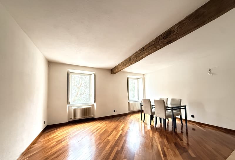 AFFITTASI STUPENDI BILOCALI IN PALAZZO STORICO A MORCOTE (5)