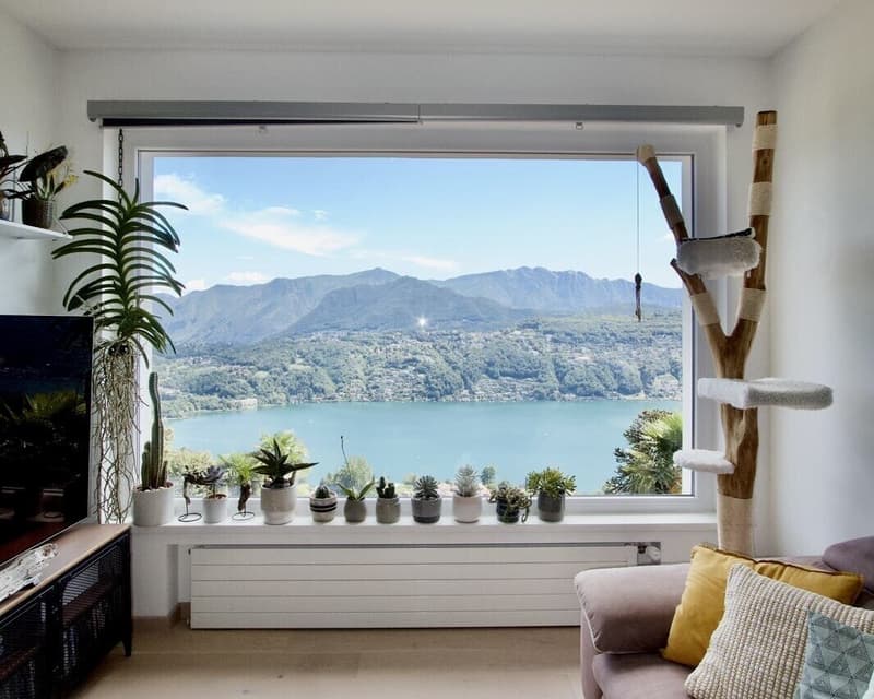 AFFITTASI AMPIO 3.5 LOCALI CON TERRAZZA VISTA LAGO A VERNATE (4)