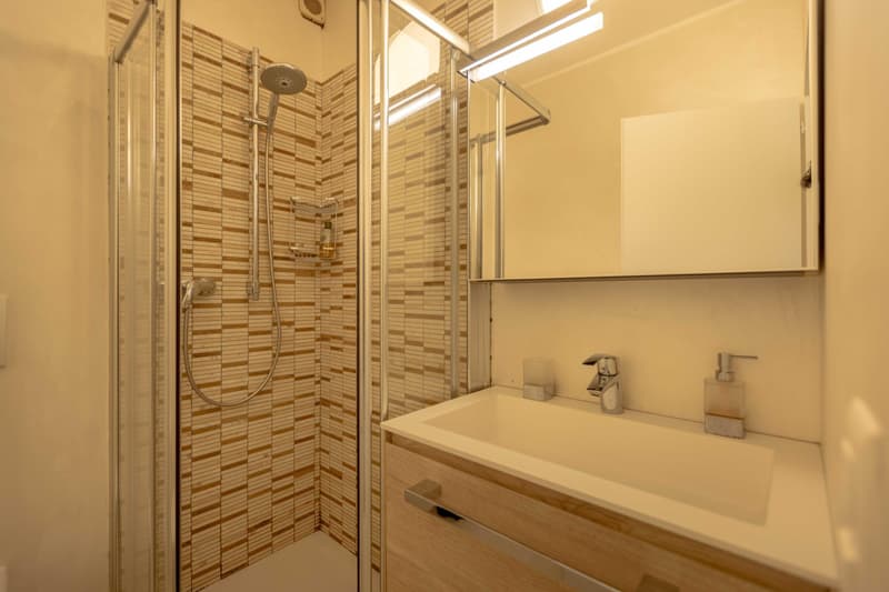 BELLISSIMO 1.5 A REDDITO CON GIARDINO E PISCINA A MORCOTE (6)
