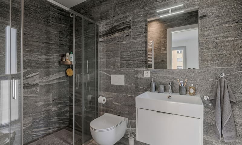 MODERNO ED AMPIO 3.5 LOCALI COME NUOVO A BELLINZONA (6)