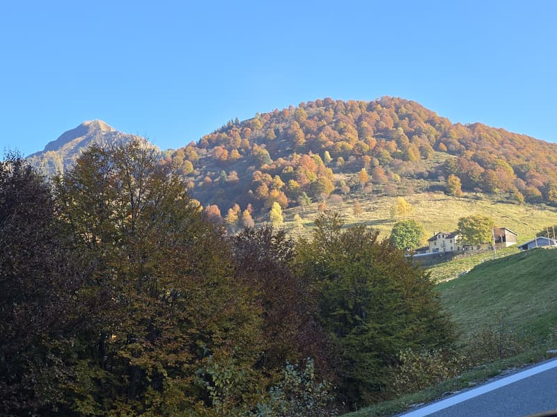 OCCASIONE - CARATTERISTICO RUSTICO 3.5 LOCALI NEL LOCARNESE (10)
