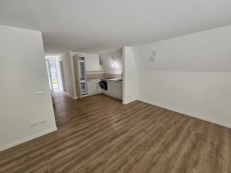 ACCOGLIENTE E GRAZIOSA CASA SINGOLA DI 4.5 LOCALI A FAIDO (2)