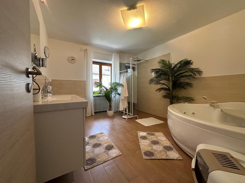 BELLA CASA 4.5 DI CHARME CON GIARDINO E PISCINA A ROVEREDO (7)