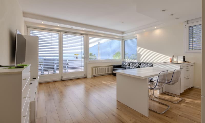 BELLISSIMO E AMPIO 2.5 VISTA LAGO CON TERRAZZA A ROVIO (2)