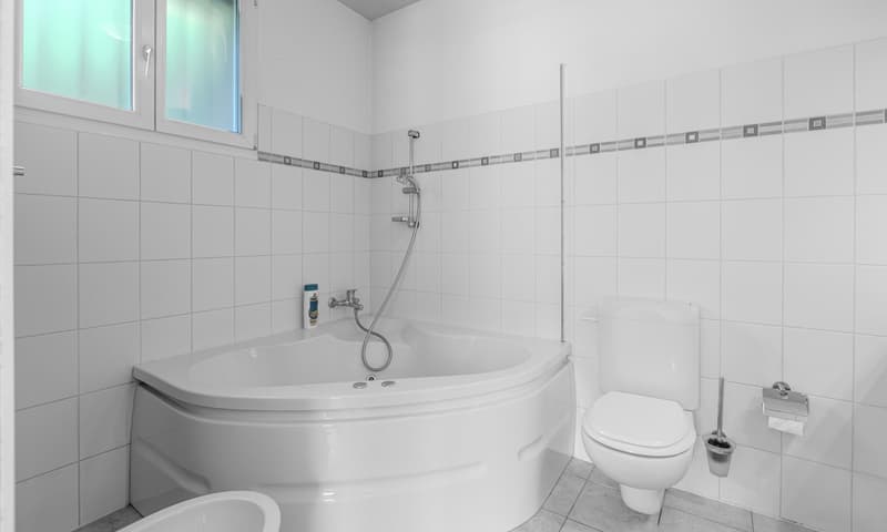 INCANTEVOLE CASA 4.5 NEL VERDE CON VISTA A BELLINZONA-DARO (8)