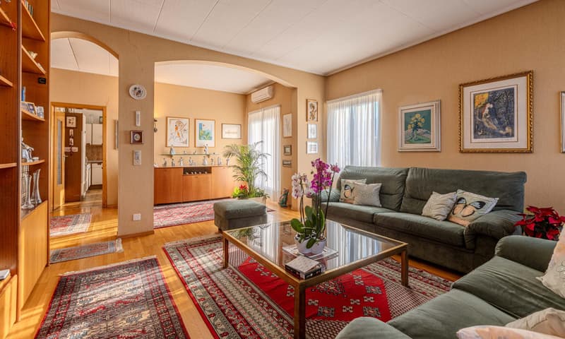 VILLA DI 10 LOCALI CON AMPIO GIARDINO A MORBIO INFERIORE (2)