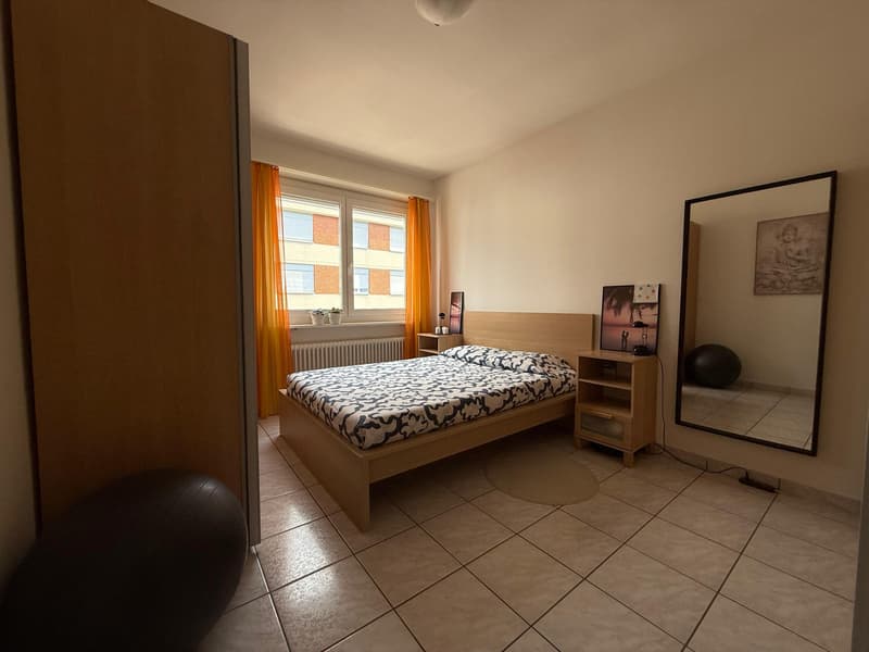 SPAZIOSO 2.5 LOCALI AMMOBILIATO IN ZONA CENTRALE DI LUGANO (6)