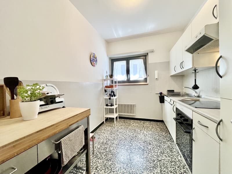 SPAZIOSO 4.5 LOCALI CON DUE TERRAZZE A BELLINZONA CENTRO (6)