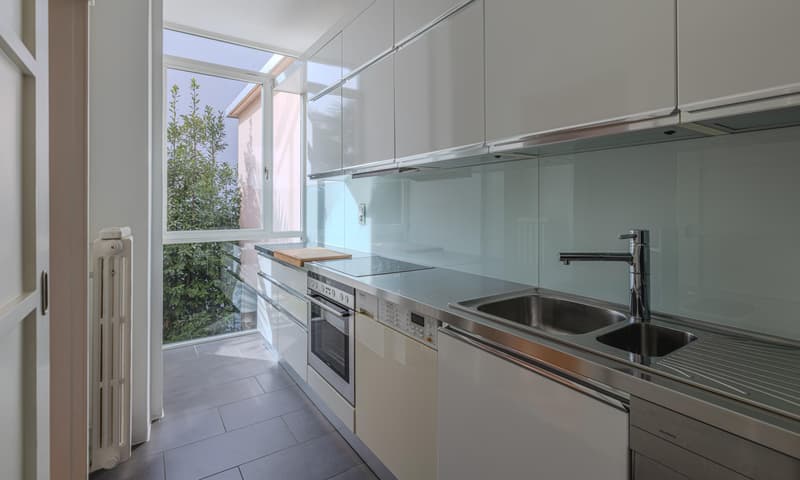 SPAZIOSO 4.5 LOCALI CON VISTA APERTA IN CENTRO A LUGANO (6)