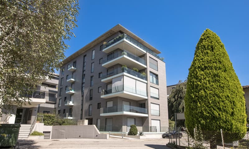 BELLISSIMO E MODERNO 2.5 CON GIARDINO PRIVATO A MASSAGNO (9)
