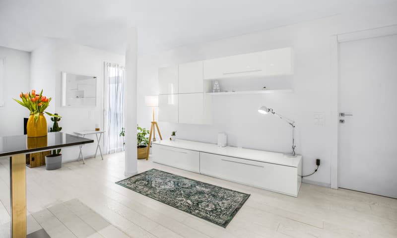 STUPENDO E MODERNO 2.5 LOCALI CON VISTA APERTA A MASSAGNO (1)