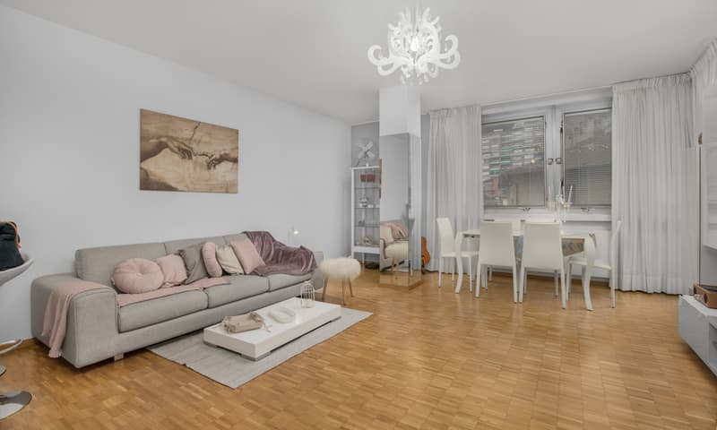 ELEGANTE 2.5 LOCALI IN POSIZIONE COMODA A LUGANO CASSARATE (3)