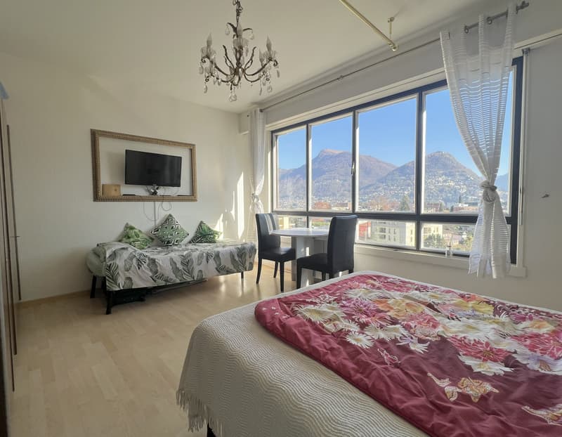 AFFITTASI ELEGANTE 1.5 LOCALI CON VISTA APERTA A LUGANO (3)