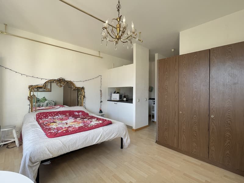 AFFITTASI ELEGANTE 1.5 LOCALI CON VISTA APERTA A LUGANO (1)