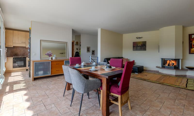 AMPIA VILLA 4.5 LOCALI CON TERRAZZA GIARDINO E VISTA AD AGNO (2)