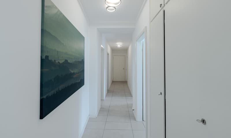 OCCASIONE - AMPIO 3.5 LOCALI CON BALCONE A LUGANO FIGINO (1)