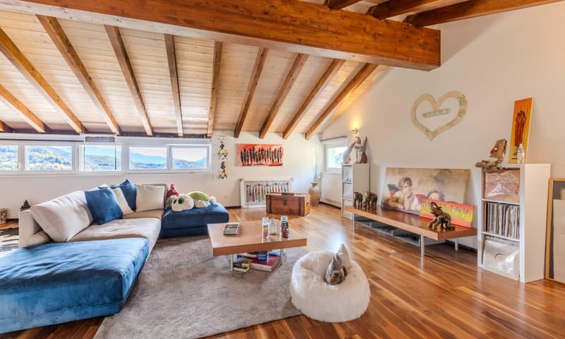 SPAZIOSA CASA DI 6.5 LOCALI CON GIARDINO A MIGLIEGLIA (2)