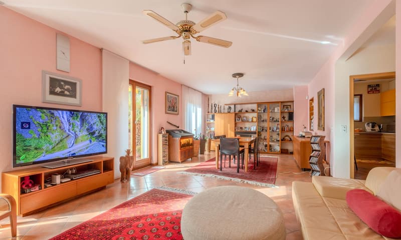 BELLISSIMA CASA 6.5 CON GROTTO E GIARDINO A RIVA SAN VITALE (3)