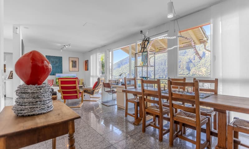 COMODA CASA 4.5 LOCALI NEL VERDE CON VISTA A BELLINZONA-DARO (1)
