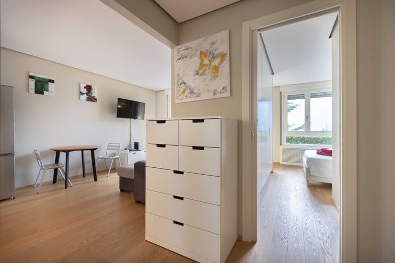 STUPENDO 2.5 LOCALI VISTA LAGO CON GIARDINO A BISSONE (1)