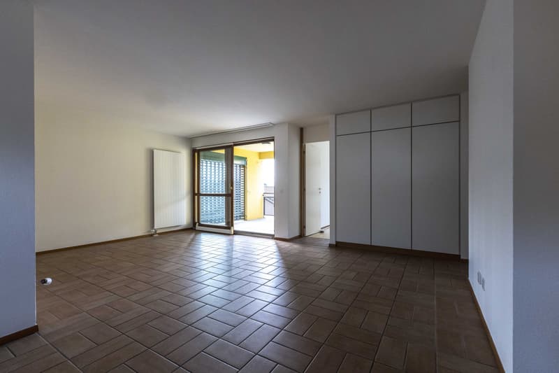 SPAZIOSO 4.5 LOCALI CON TERRAZZA E VISTA APERTA A CADEMPINO (4)