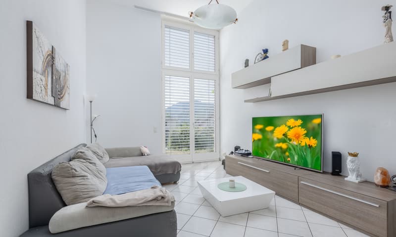 OCCASIONE - VILLETTA 5.5 LOCALI CON GIARDINO A SESEGLIO (2)