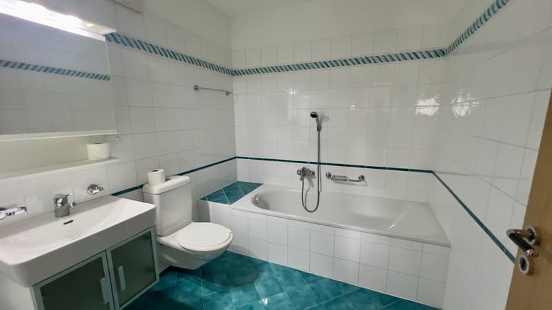 AFFARE - ACCOGLIENTE DUPLEX 3.5 LOCALI NEL CUORE DI PURASCA (8)