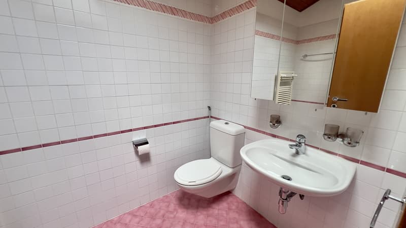 AFFARE - ACCOGLIENTE DUPLEX 3.5 LOCALI NEL CUORE DI PURASCA (9)
