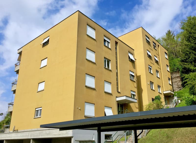MODERNO ED AMPIO 3.5 LOCALI CON VISTA NEL VERDE A SAVOSA (9)