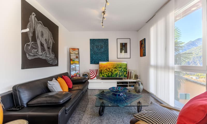 COMODA CASA 4.5 LOCALI NEL VERDE CON VISTA A BELLINZONA-DARO (5)